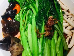 白灼菌菇菜心-新白鹿餐厅(虹桥南丰城店)