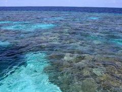 -中央格兰德岛温泉度假酒店 - 全包