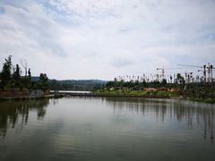 -枫香湖儿童公园