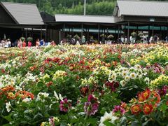 -富田农场