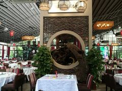 -大树头森林餐厅(番禺广场店)