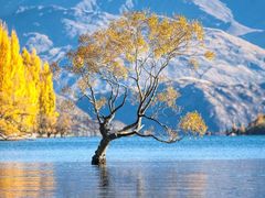 -大胖虎驾考驾校(郭巷训练场)