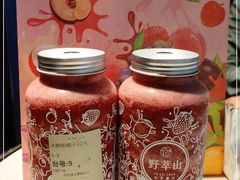 -野萃山·潮汕厚果汁(十亩地店)