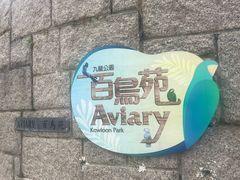 -九龙公园