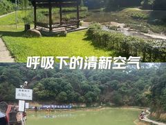 -梧桐山风景名胜区