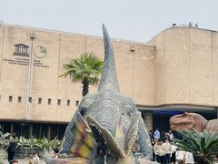 -自贡恐龙博物馆