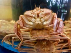 -蟹道乐(道顿堀本店)