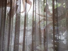 -新花城蟹粉馆(乌鲁木齐店)