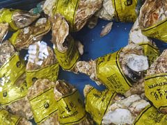 -嘉荣超市(望牛墩店)