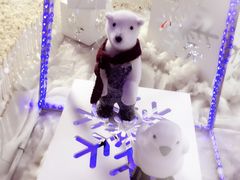 -渣打银行(上海分行)