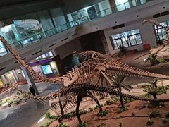 -自贡恐龙博物馆