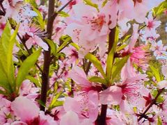 -南京金牛湖风景区