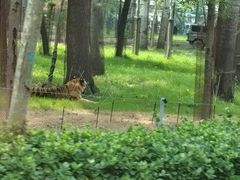 -秦皇岛野生动物园