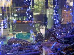-徐记海鲜(观沙岭|滨江新城店)