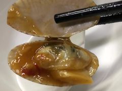 -蛇口康乐快餐鱼仔档(翠苑小区店)