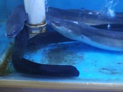 -泮金大塘(北二七路店)