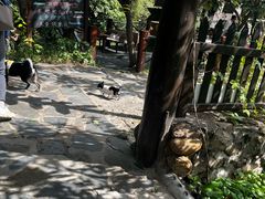 -北京水岸山吧度假村(雁栖镇店)