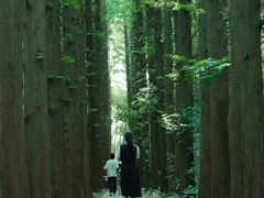 -同里国家湿地公园