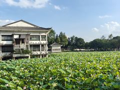-荔湾湖公园