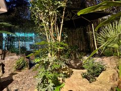 -云南滇池花园国际大酒店温泉