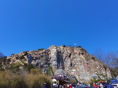 -西霞口神雕山野生动物世界