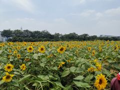 -南京信息职业技术学院