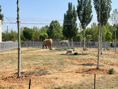 -石家庄市动物园