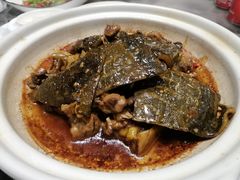 红烧甲鱼-蔡府家宴(699店)
