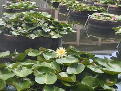-石峰岩寺
