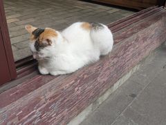 -清真喜兰老丁羊汤特色小吃