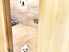 -Double Rui宠物酒店