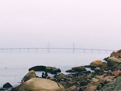 -野狸岛