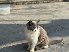 -长春观