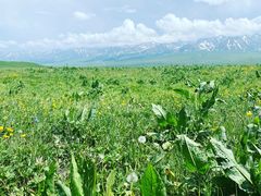 -新疆那拉提国家旅游度假区
