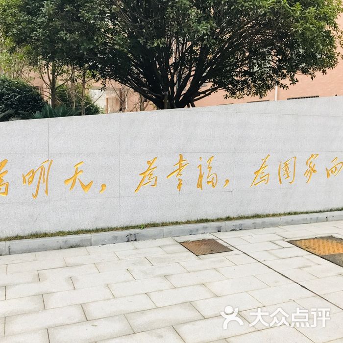 麓山滨江实验学校初中图片