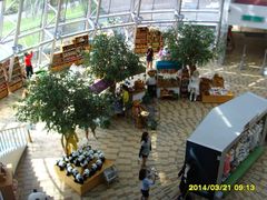 -济州岛泰迪熊博物馆