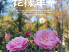 -人民公园(罗湖区)