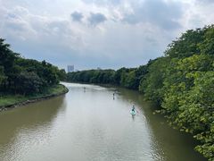 -海珠湖公园