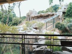 -宁波野生动物园