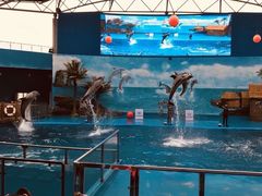 -石林冰雪海洋世界