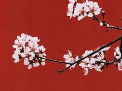 -宁波海逸大酒店·逸轩餐厅