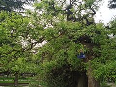 -大慈恩寺(大雁塔)