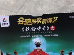-《驼铃传奇》秀