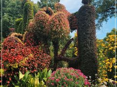 -上海共青森林公园