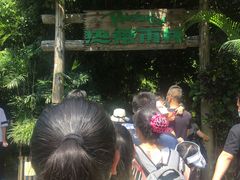 -青青世界