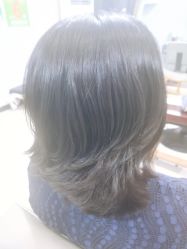 -小桑树染烫改变专门店