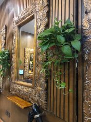 -红人馆造型世爵国际