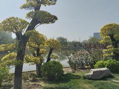 -西海子公园