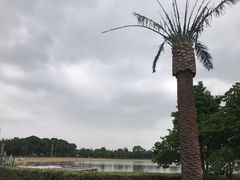 -上海月湖雕塑公园