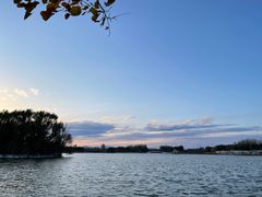 -大兴滨河森林公园